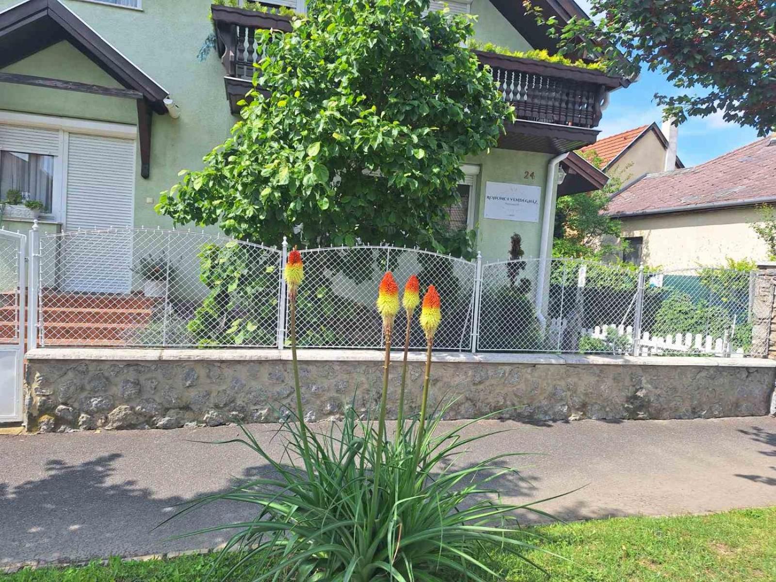 Rohonci Vendeghaz Hotell Kőszeg Exteriör bild